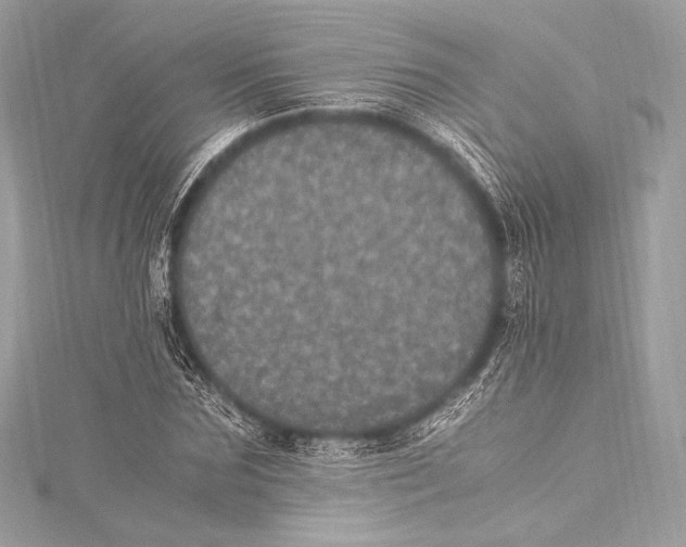 X0000115340875200911301546