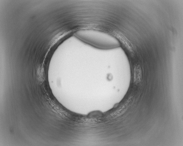 X0000115340876200911301546