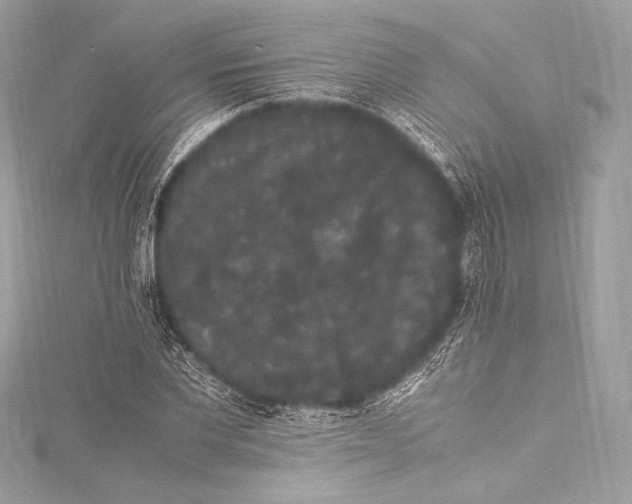 X0000115340877200911301546