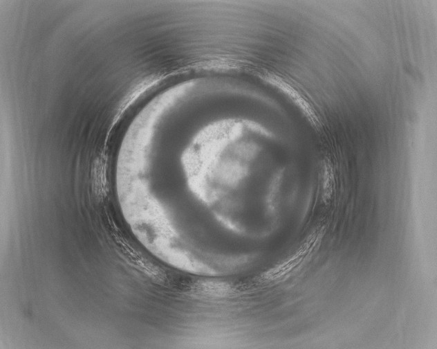 X0000115340878200911301546