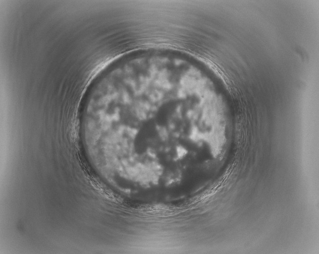 X0000115340879200911301546