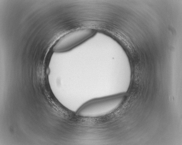 X0000115340880200911301545