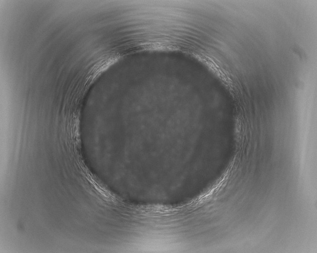 X0000115340881200911301545