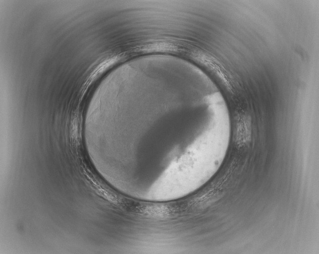 X0000115340882200911301545