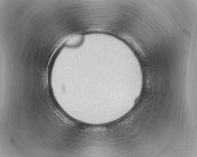 X0000115340884200911301545