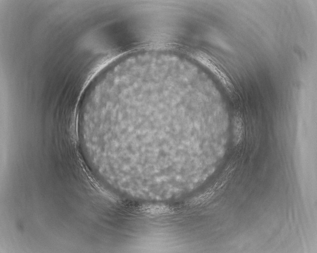 X0000115340886200911301545