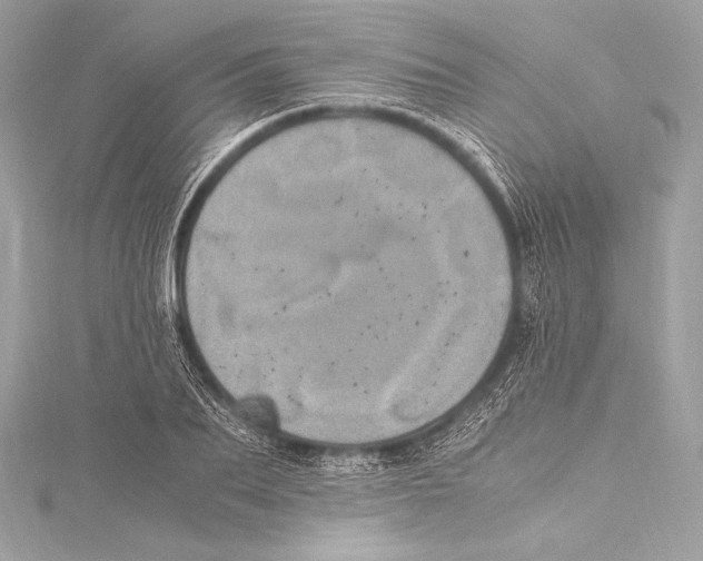 X0000115340887200911301545