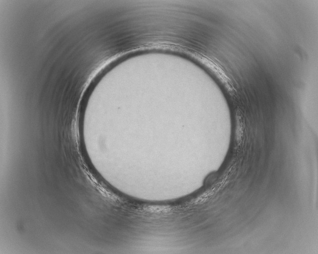 X0000115340888200911301545