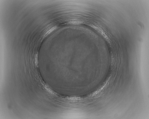 X0000115340889200911301545