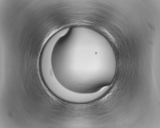 X0000115340893200911301545