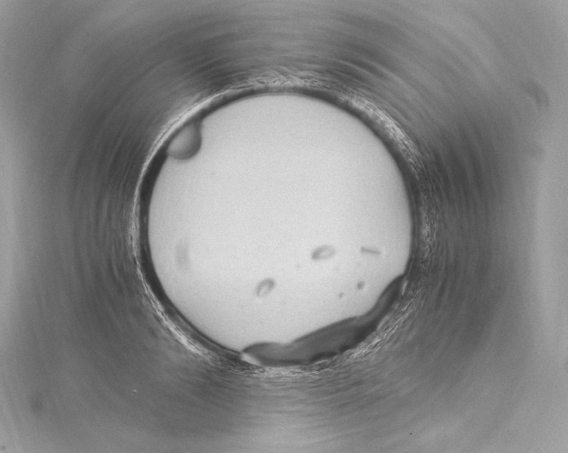 X0000115340894200911301545