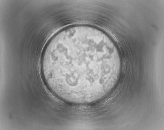 X0000115340895200911301545