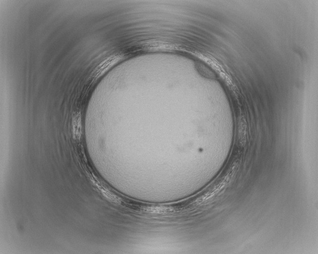 X0000115340897200911301545