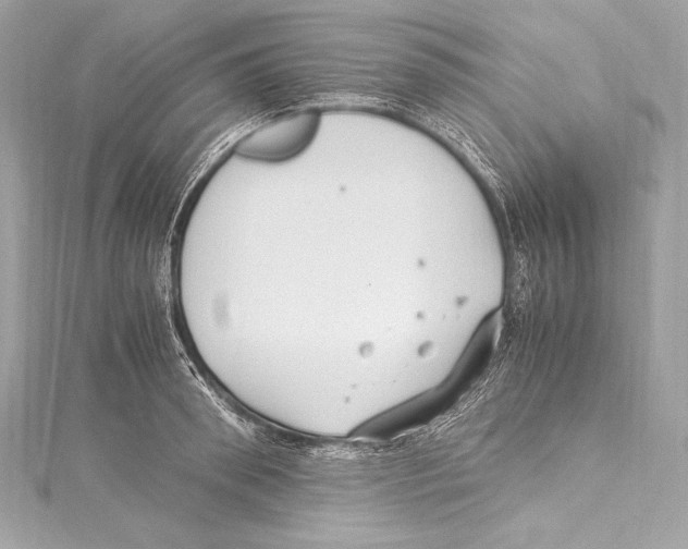 X0000115340898200911301545