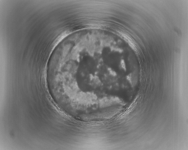 X0000115340899200911301545