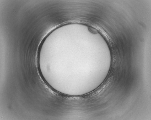 X0000115340902200911301545