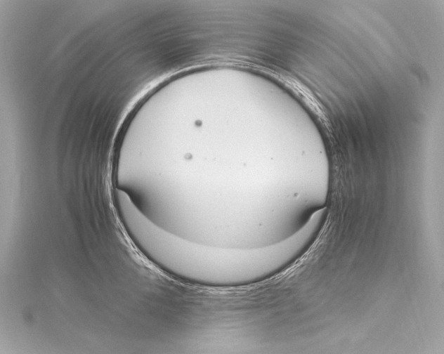 X0000115340904200911301545