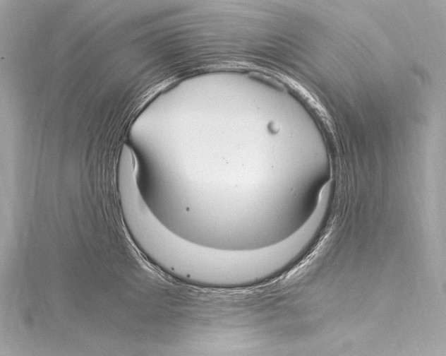 X0000115340905200911301545