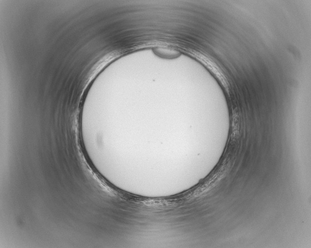 X0000115340906200911301545