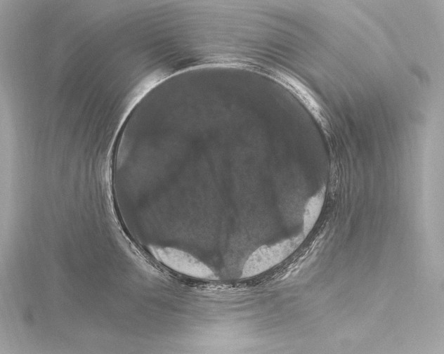 X0000115340907200911301545