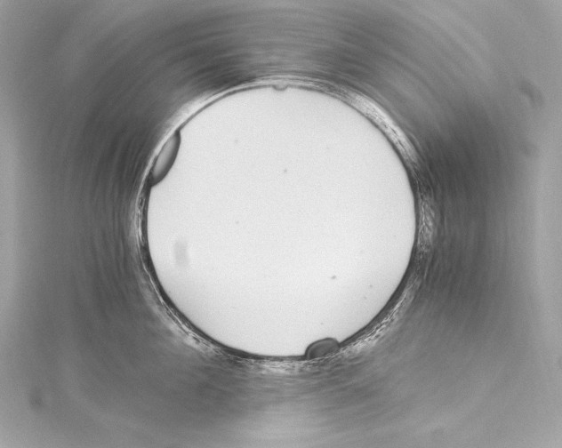 X0000115340908200911301545