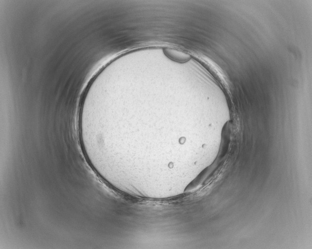 X0000115340910200911301545