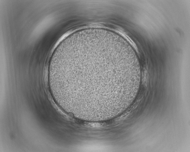 X0000115340911200911301545