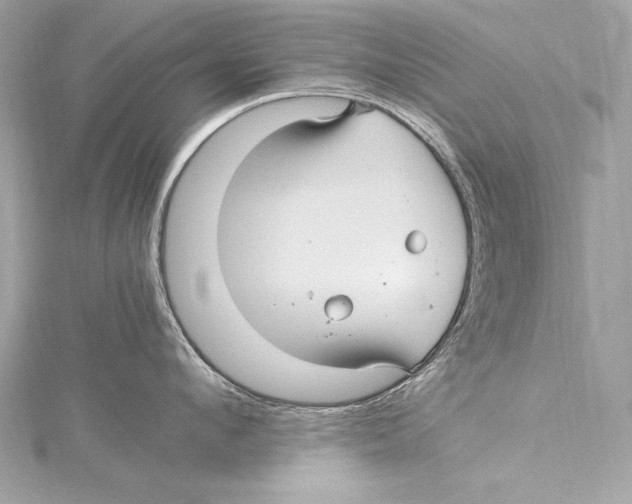 X0000115340912200911301545