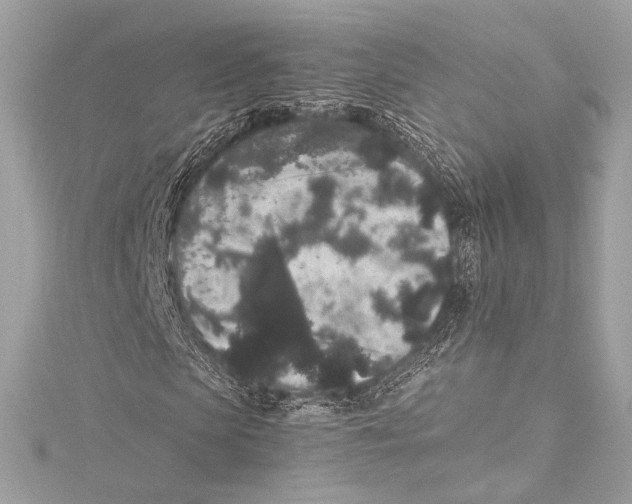 X0000115340913200911301544