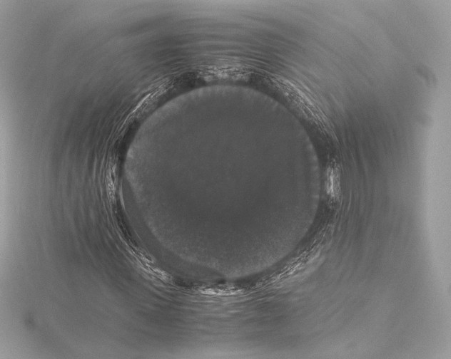 X0000115340915200911301544