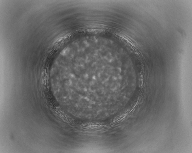 X0000115340917200911301545