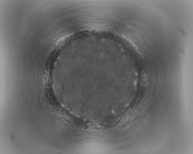 X0000115340918200911301545