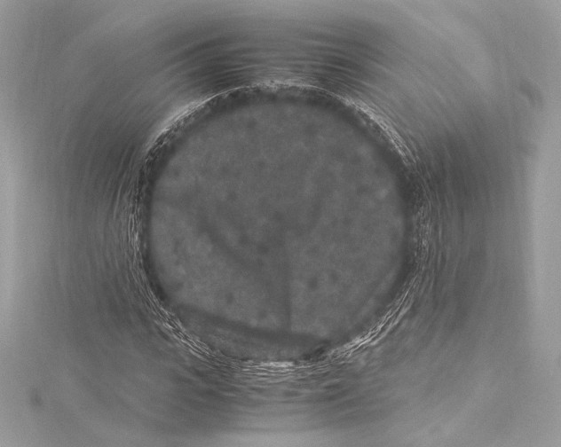 X0000115340919200911301545