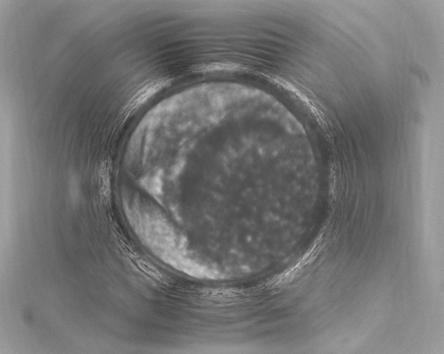 X0000115340921200911301545