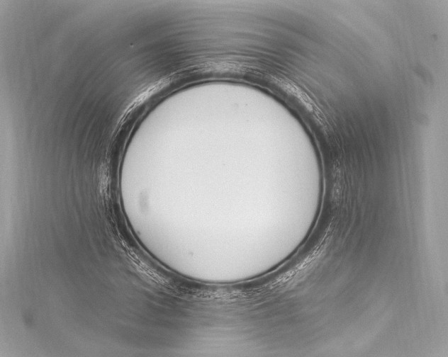 X0000115340922200911301545