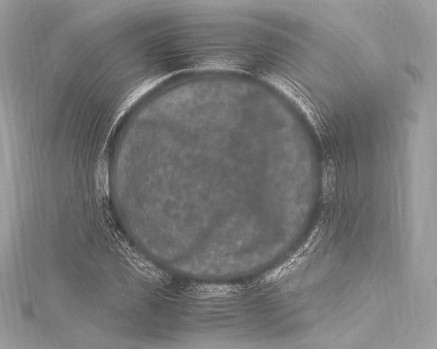 X0000115340925200911301545