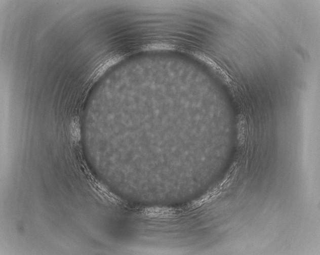 X0000115340929200911301545