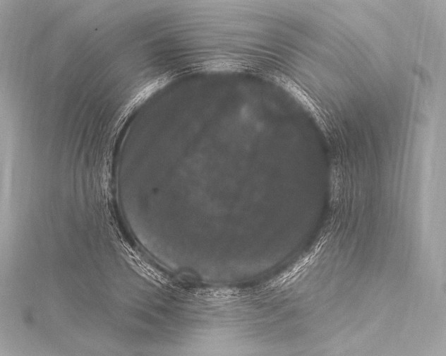 X0000115340930200911301545