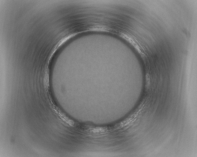 X0000115340931200911301545