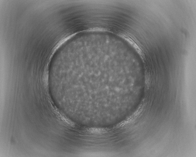 X0000115340933200911301545