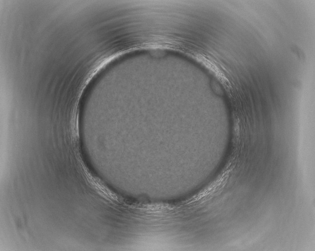 X0000115340934200911301545