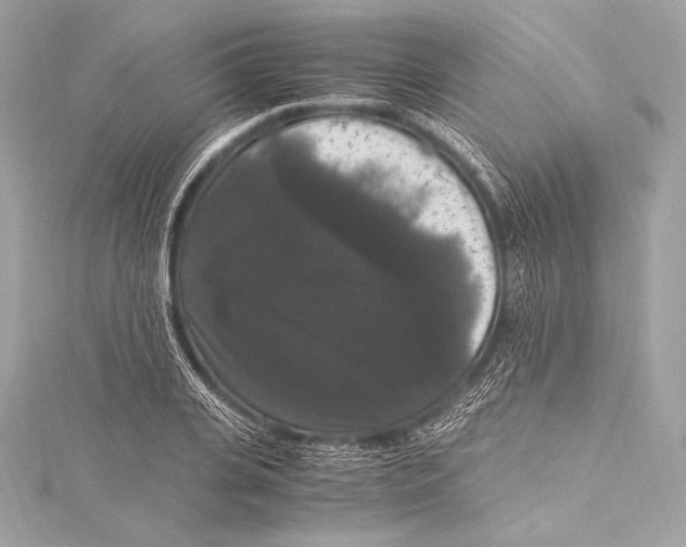 X0000115340935200911301545