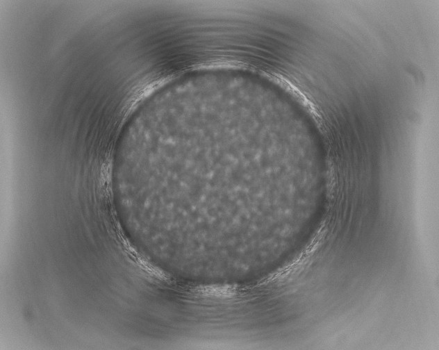 X0000115340937200911301545