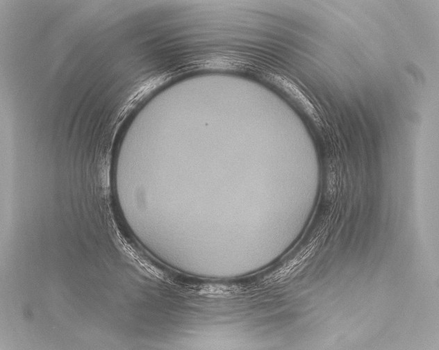 X0000115340938200911301545