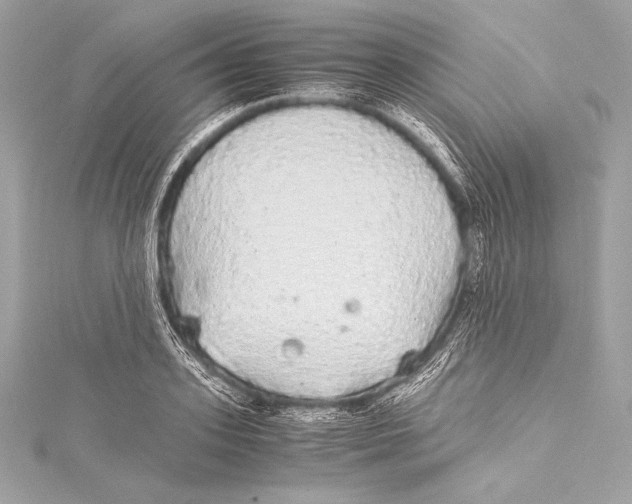 X0000115340939200911301545