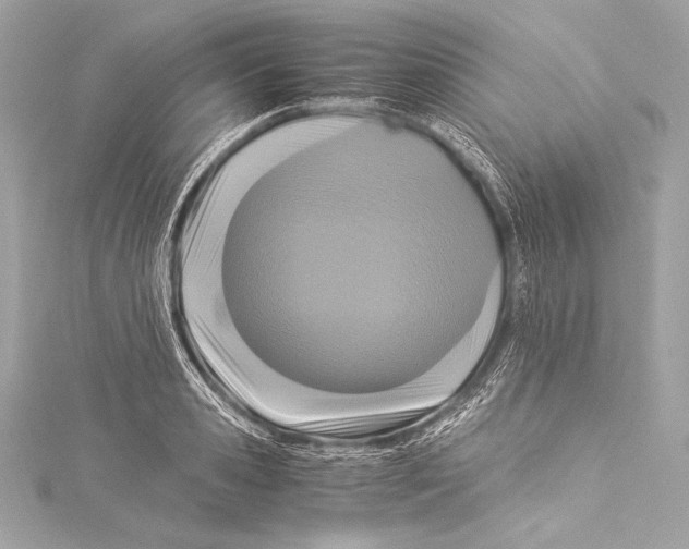 X0000115340941200911301545