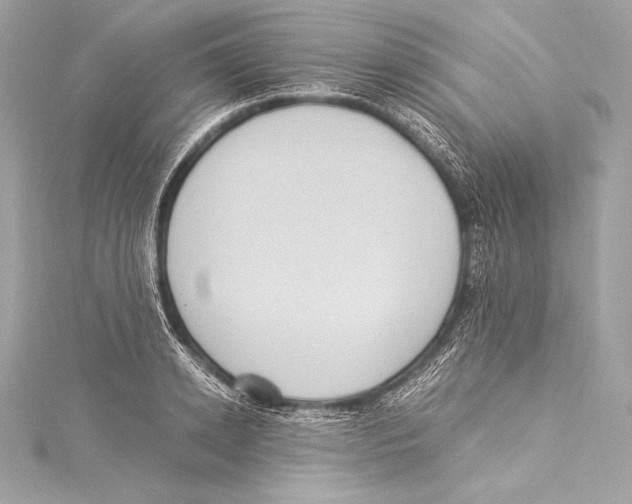 X0000115340942200911301545