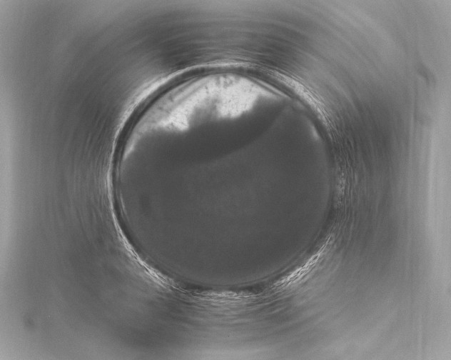 X0000115340943200911301545