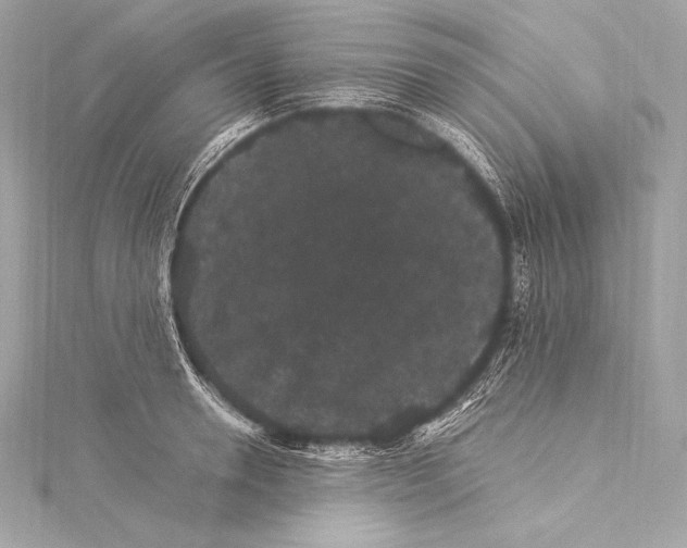 X0000115340946200911301545