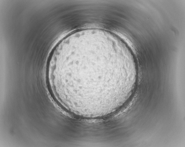 X0000115340949200911301545